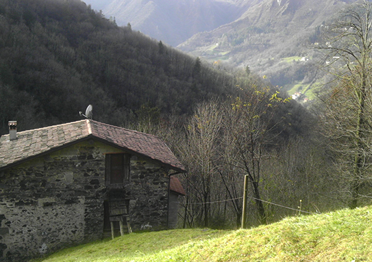 san pellegrino